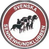 svenska sennenhund klubben