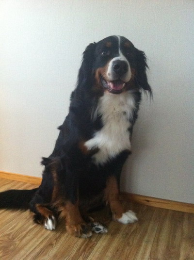 lady