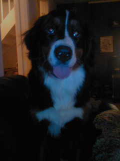 lady