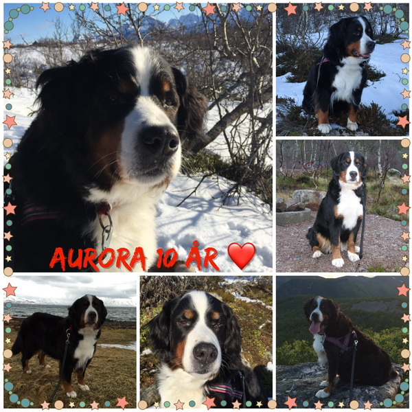 Aurora
