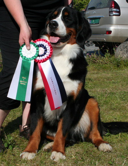 teodor