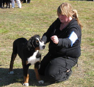 teodor