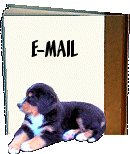 e-mail