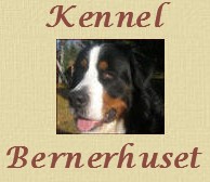 bernerhuset