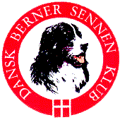 dansk berner sennen klubb