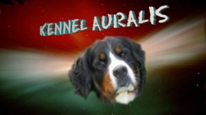 kennel auralis