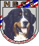 nbsk