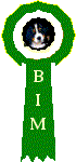 bim