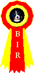 bir